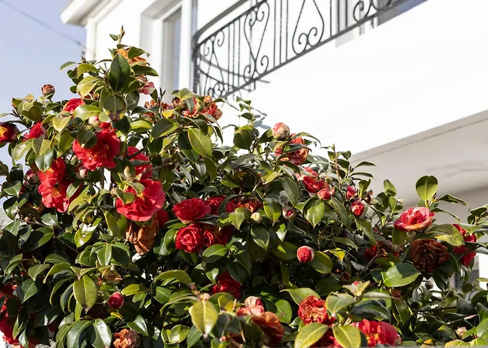 Parisse Au Centre De La Chaume Villa *