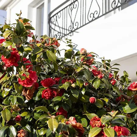 Parisse Au Centre De La Chaume 别墅 *